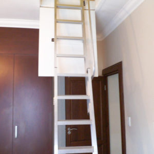 Loft storage access with Loft E Ladder